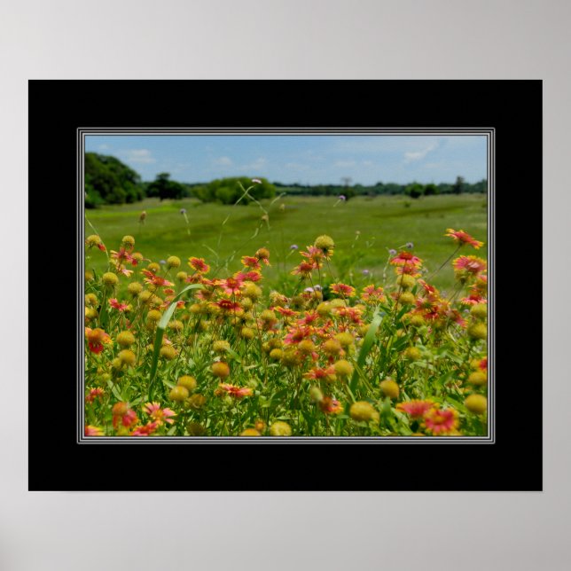 16x20 Indianerblanket-Wildblume Poster (Vorne)