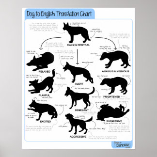 16x20 Körpersprache Poster