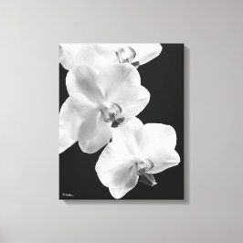 16X20 Orchideen in Schwarz-Weiß-Wrapped Canvas Art Leinwanddruck