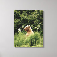 16x20 überzogene Canvas (Glanz) mit Grizzlybär