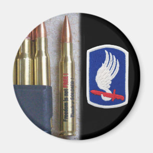 173. im Flugzeug Patch vet Magnet vfw nam iraq