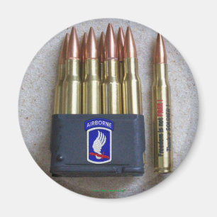 173rd ABN BDE Airborne Brigade Sky Soldiers Vets Magnet