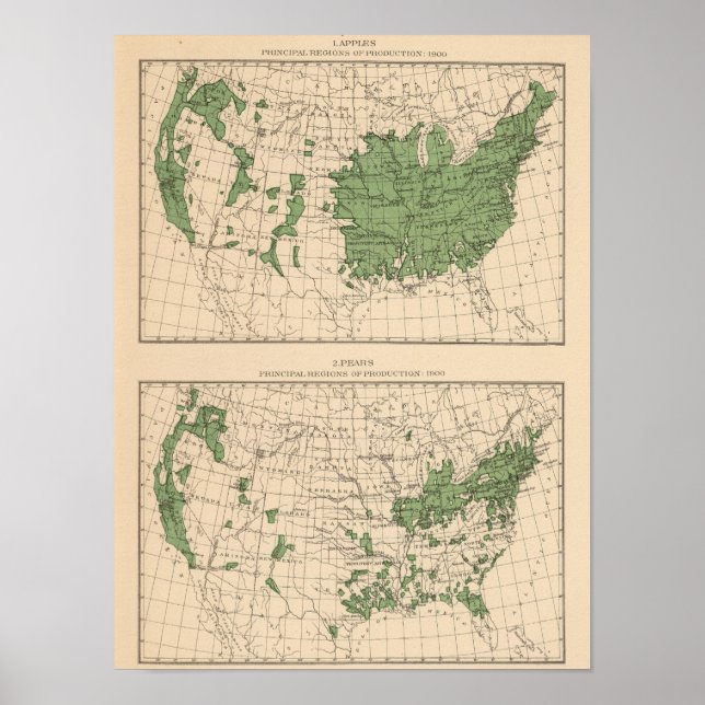 174 Äpfel, Birnen, Hauptregionen Poster (Vorne)