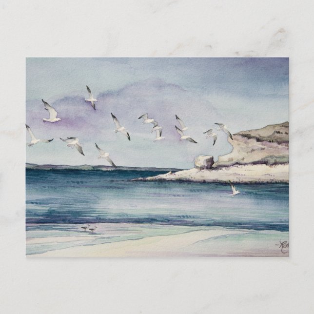 1774 Seagulls bei Sandy Beach Postcard Postkarte (Vorderseite)