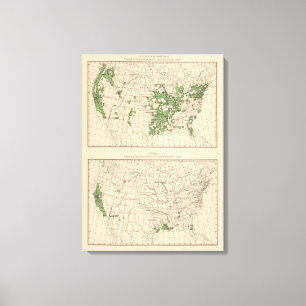 177 Pflaumen, Pflaumen, Feigen, Hauptregionen Leinwanddruck