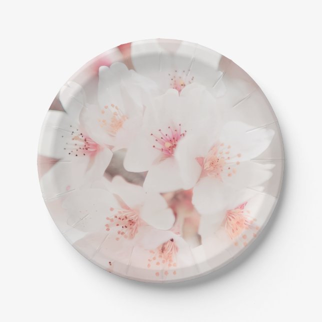 17,78cm Runder Pappteller (Vorderseite)