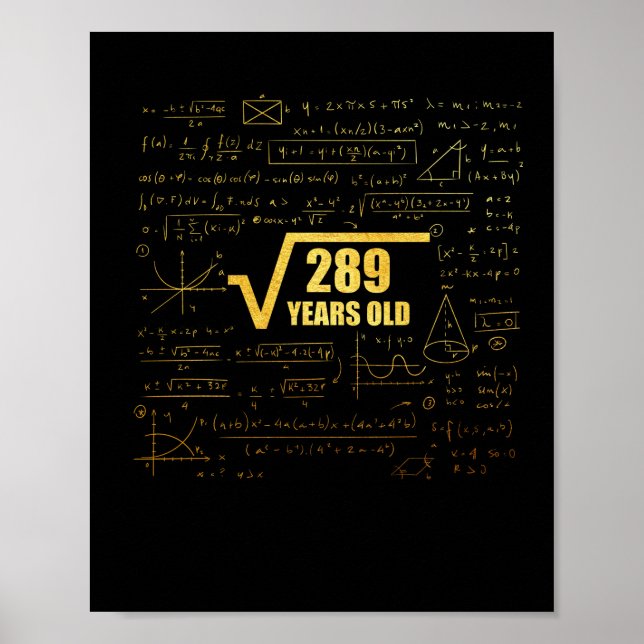 17th Birthday Square Root of 289 17 Years Old Poster (Vorne)