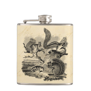 1800s Vintage Eichhörnchen-Illustration - Flachmann