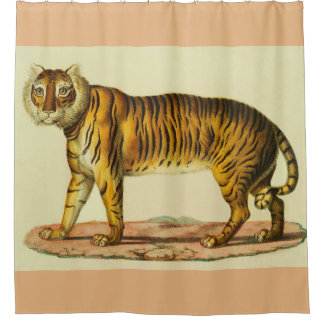 1824 Tigerdruck Duschvorhang