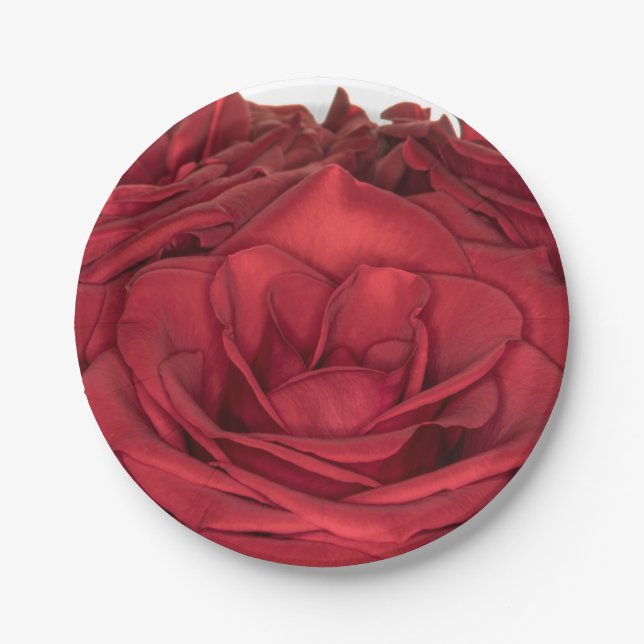 1840-Rote Hochzeit-Rose Pappteller (Vorderseite)