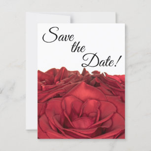 1840-Rote Rosen Postkarte