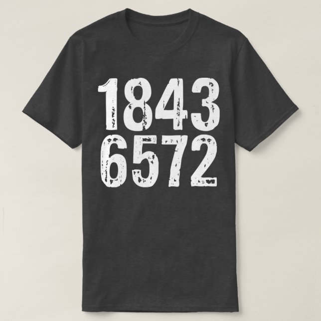 1843 offensiver Humor für Erwachsene T-Shirt (Design vorne)