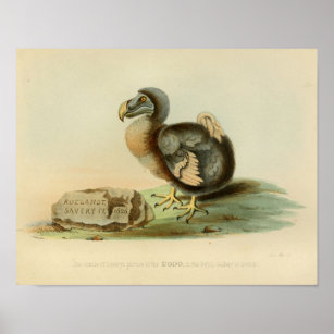 1848 Vintager Dodo Bird-Druck Poster