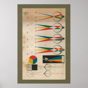 1851 Vintage Vision Augenanatomie Chart Poster