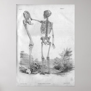 1854 Vintage Anatomie Skelett Druck Poster