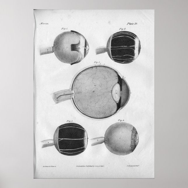 1854 Vintage Augenanatomie Poster (Vorne)