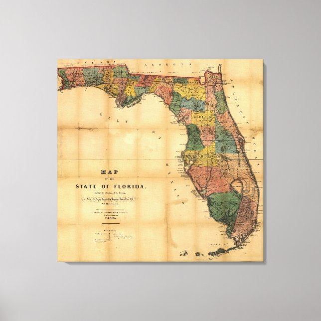 1856 Karte des Staat Florida durch Kolumbus Gezeic Leinwanddruck (Vorderseite)