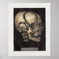 1867 Vintage Anatomie des menschlichen Schädels