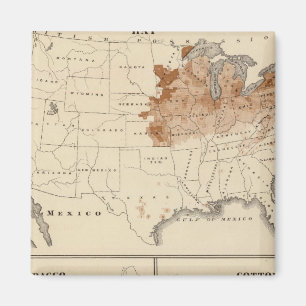 1870 aufgezogene Erzeugnisse aus Hay Tobacco Cotto Magnet