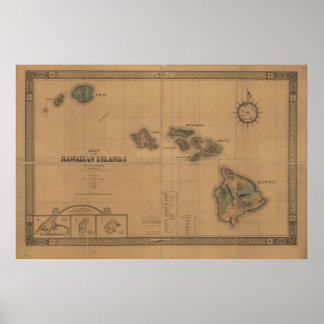 1876 Karte der Hawaii-Hawaiianischen Inseln Poster