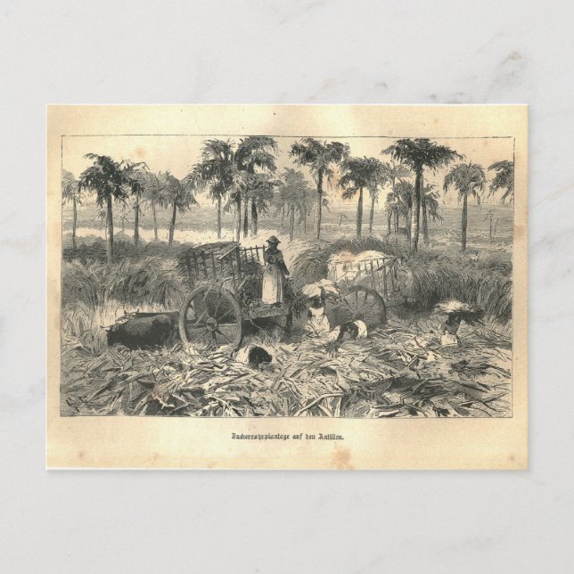 1877 Print Cuba Antillen, Erde und ihre Völker Postkarte (Vorderseite)