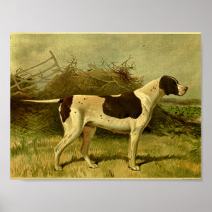 1881 Vintage-Hunde-Druck Pointer Poster
