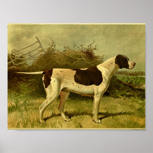 1881 Vintage-Hunde-Druck Pointer Poster (Vorne)