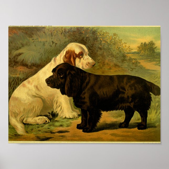 1881 Vintage Spaniels drucken Poster (Vorne)