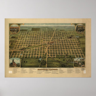 1884 Mattoon, IL Birds Eye Panoramablick Karte Poster