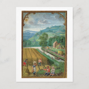 18855 September hinzufügen: Ernte, Pflügen und Sau Postkarte