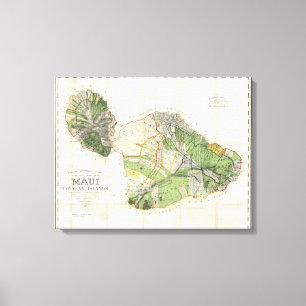 1885 De Witt Alexander Wall Karte von Maui, Hawaii Leinwanddruck