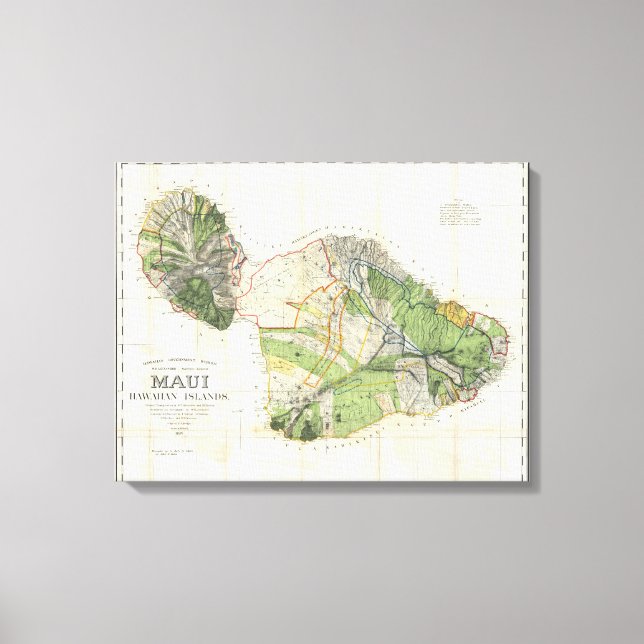 1885 De Witt Alexander Wall Karte von Maui, Hawaii Leinwanddruck (Vorderseite)