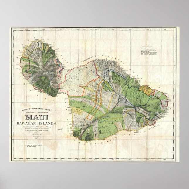1885 De Witt Alexander Wall Karte von Maui, Hawaii Poster (Vorne)