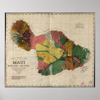 1885 Karte von Maui, Hawaii Poster
