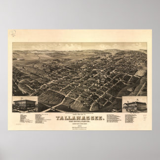 1885 Tallahassee, FL Birds Eye Panoramablick Karte Poster