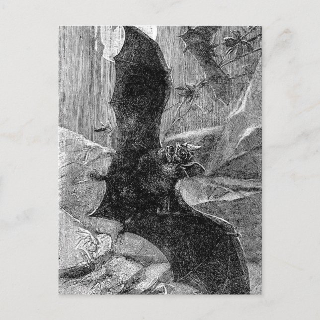 1885 Vampire Bat Illustration Postkarte (Vorderseite)