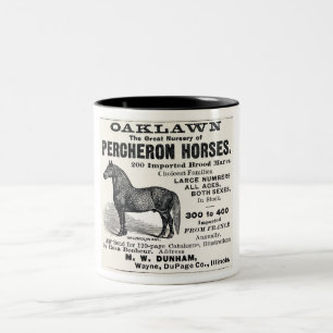 1886 AD FÜR PERCHERON-PFERDE, ILLINOIS ZWEIFARBIGE TASSE