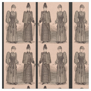 1895 Damenbekleidung in Delinator, Druck Stoff