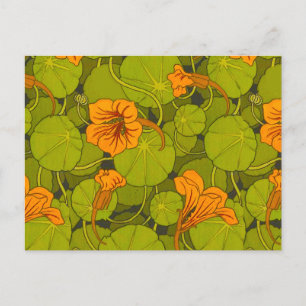 1896 Viktorianisch Nasturtium Floral Print Postkarte