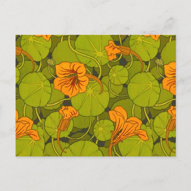 1896 Viktorianisch Nasturtium Floral Print Postkarte (Vorderseite)
