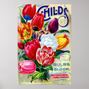 1899 John Lewis Childs Gartenbau Floral Vintage Poster