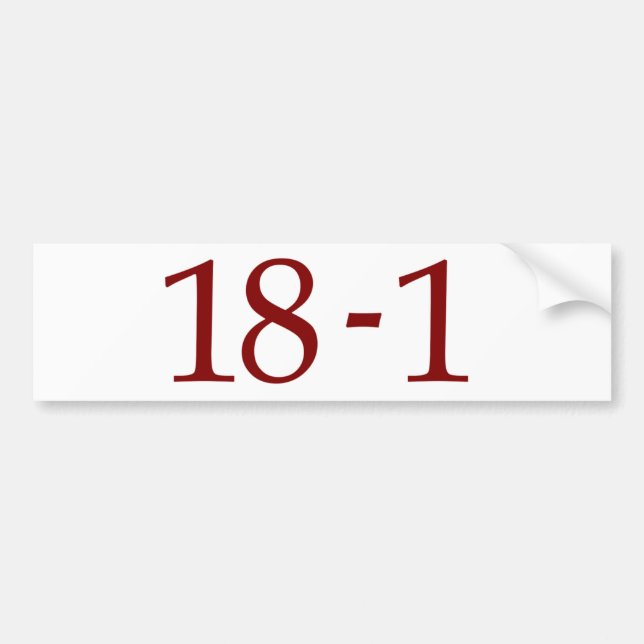 18-1 AUTOAUFKLEBER (Vorne)