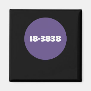 18-3838 MAGNET