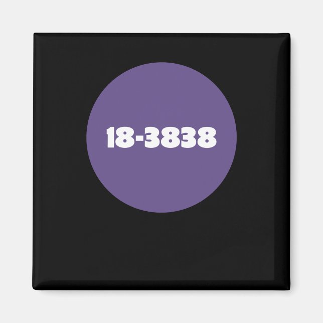 18-3838 MAGNET (Vorne)