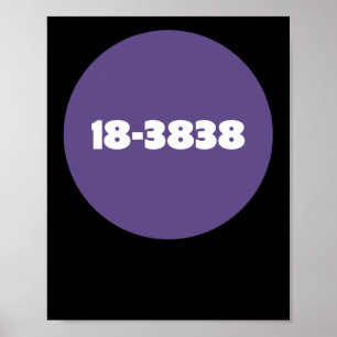 18-3838 POSTER