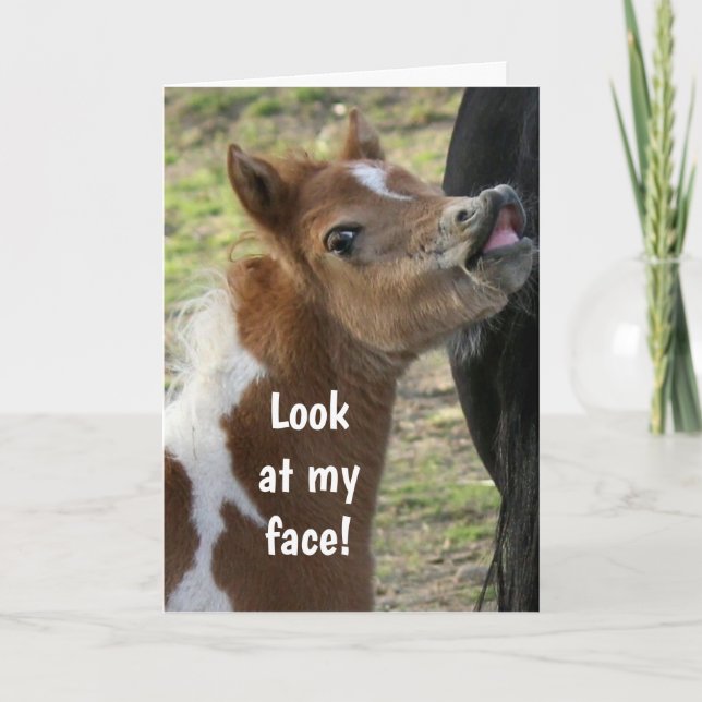 **18. GEBURTSTAG** ÜBERLAUFENE PONY-Karte Karte (Vorderseite)