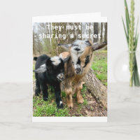 **18. GEBURTSTAG** ZIEGEN TEILEN EIN GEHEIMNIS DAV