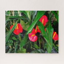 18. Geburtstagstochter.