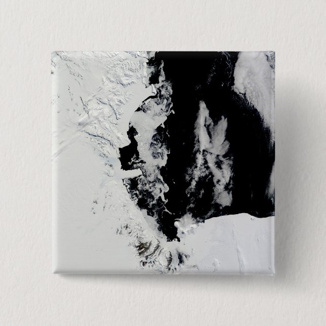18. Januar 2010 - Rosssee, Antarktis Button (Vorderseite)