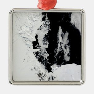 18. Januar 2010 - Rosssee, Antarktis Silbernes Ornament